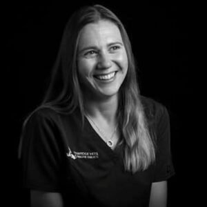Dr Louise Katz BSc BVMS GPCert (SAM) MRCVS